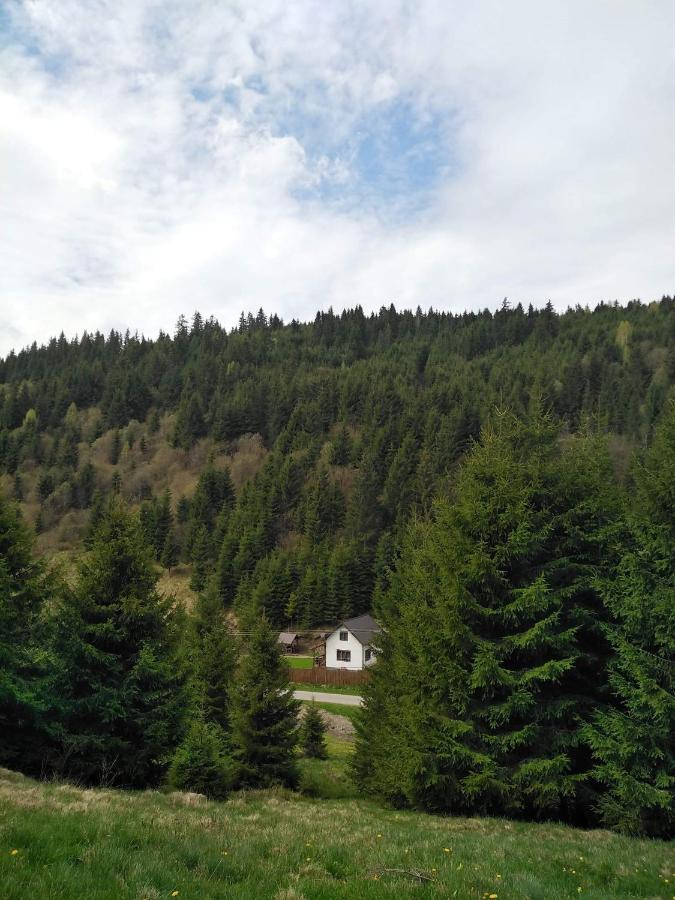 Villa Csillag Kulcsoshaz à Gheorgheni  Extérieur photo
